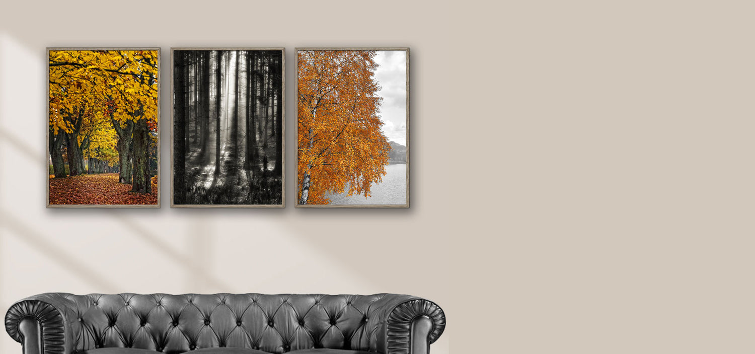 3 plakater til stuen på 50x70 cm