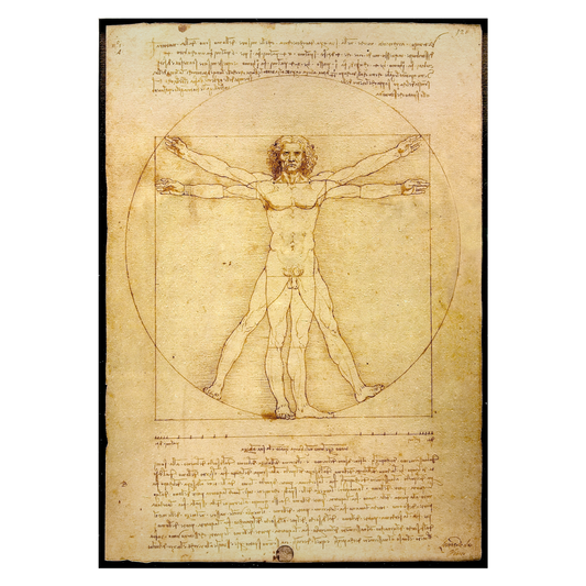 Kunstplakat med Leonardo da Vinci "Vitruvian Man"