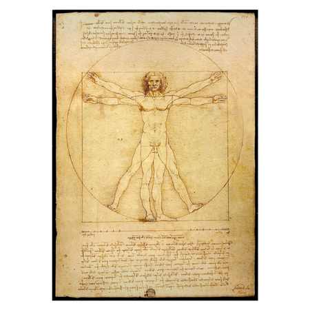 Kunstplakat med Leonardo da Vinci "Vitruvian Man"