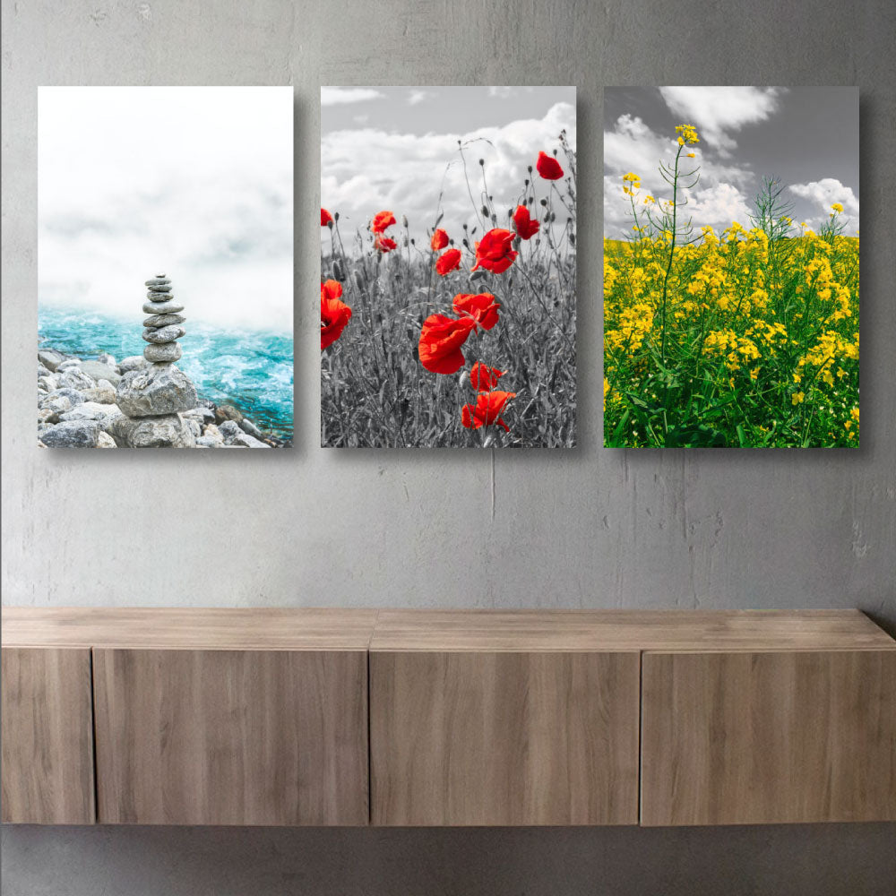 Poppies