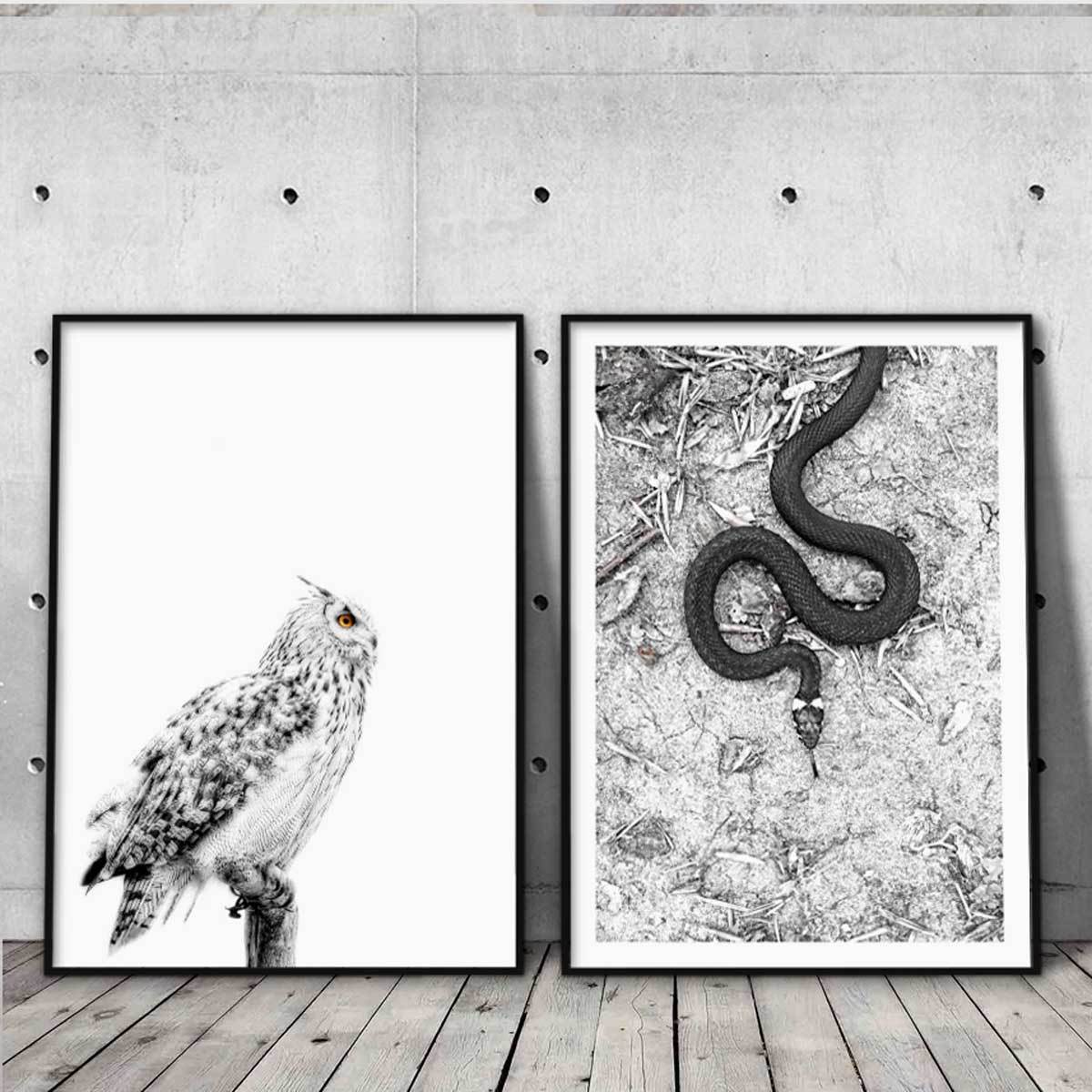 2 sort-hvide dyreplakater med 1 ugle og 1 slange 