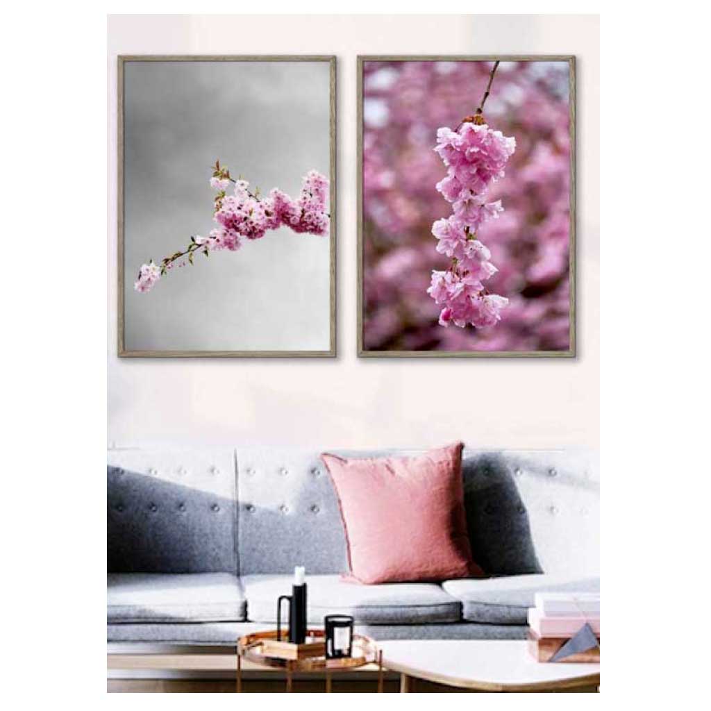 to blomsterplakater med lyserøde kirsebærtræer