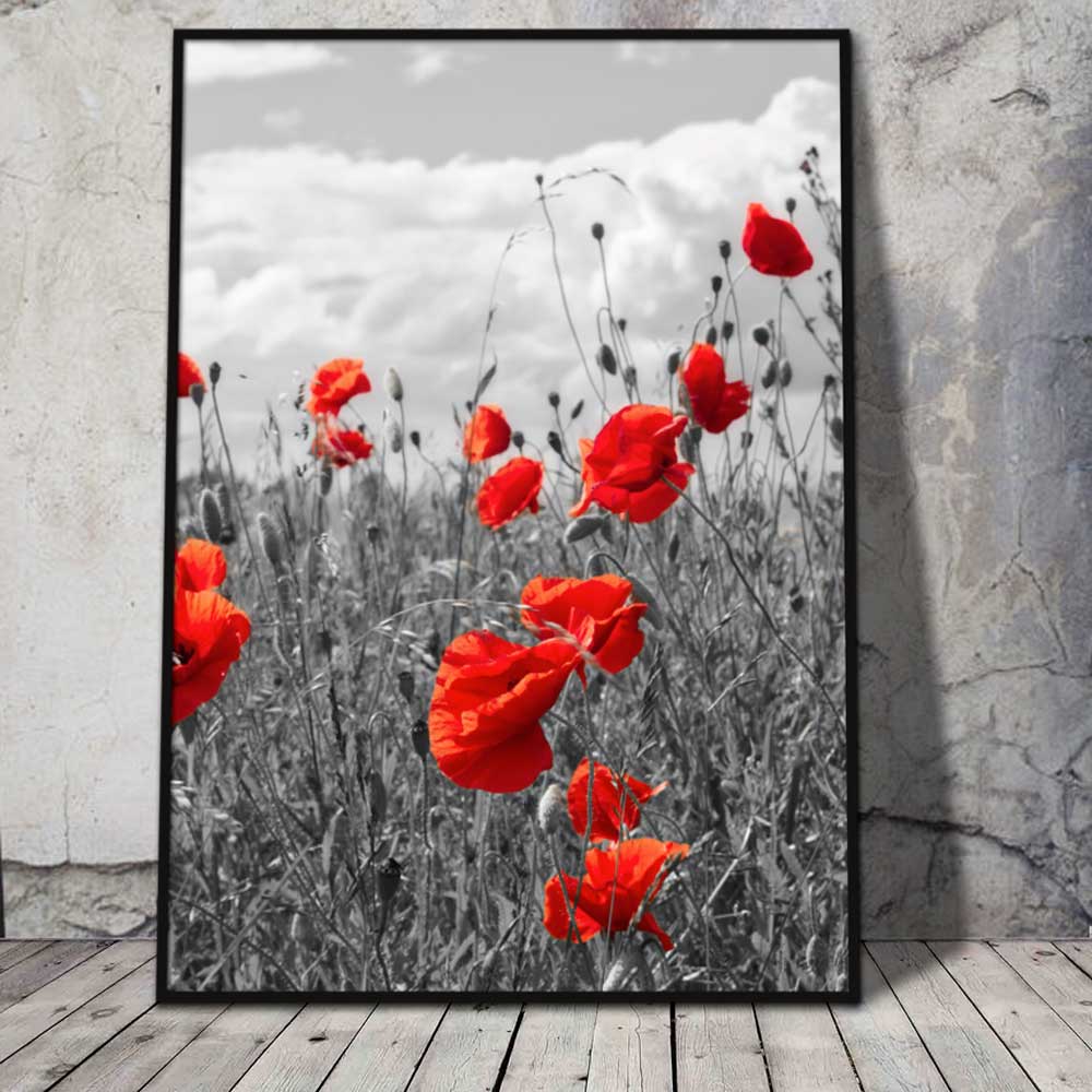 Poppies