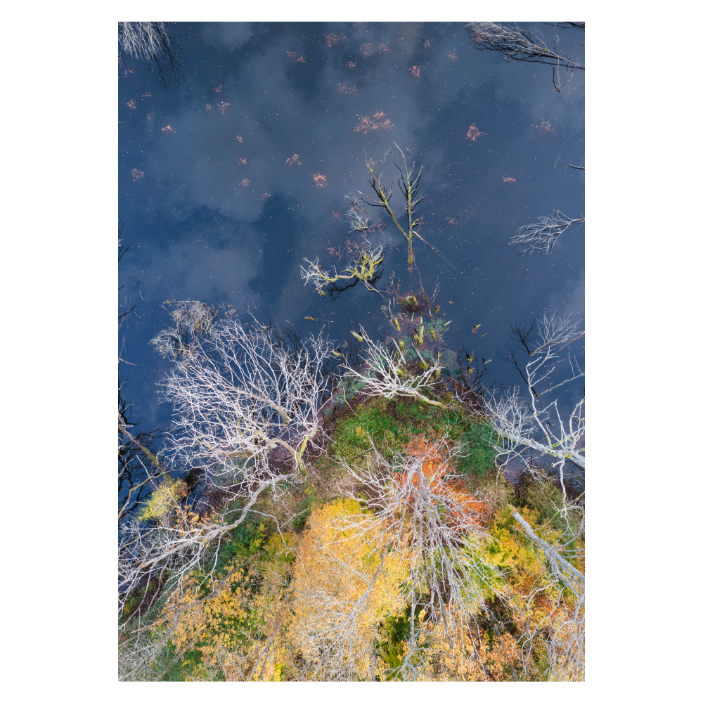 dansk naturplakat med dronekunst over en søbred