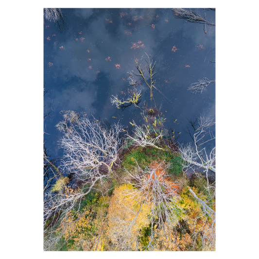 dansk naturplakat med dronekunst over en søbred