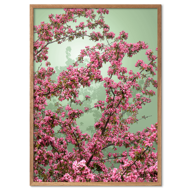 japansk inspireret blomsterplakat med lyserøde blomster
