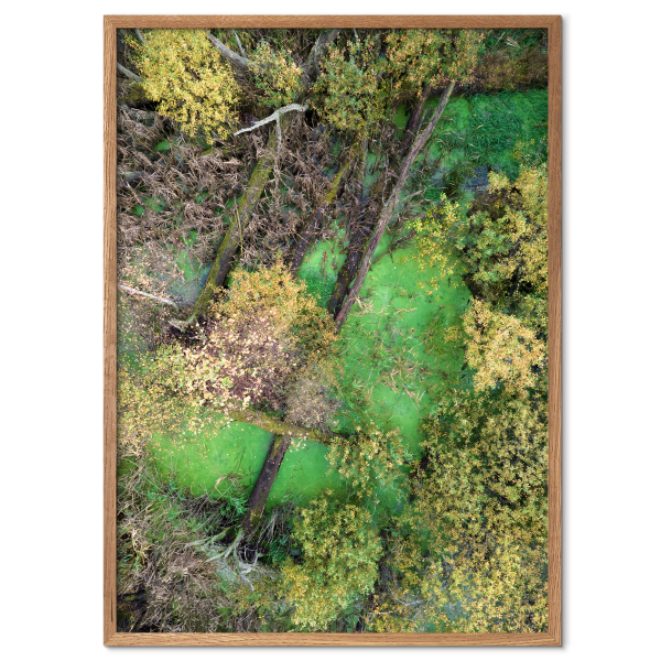 fotokunst plakat med en lille grøn skovsø