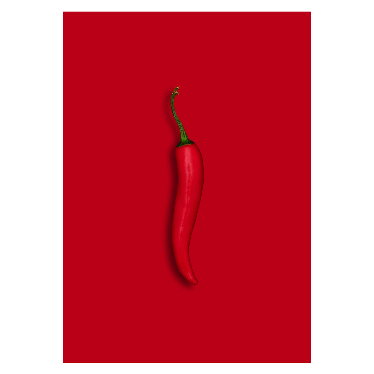 chili plakat med en rød chili på rød baggrund