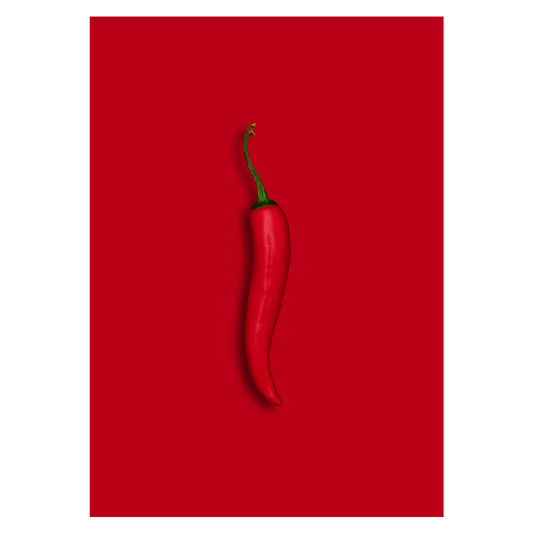 chili plakat med en rød chili på rød baggrund