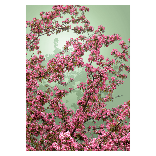 grafisk fotokunst plakat med røde blomster på grøn baggrund