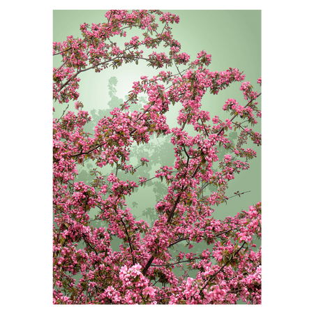 grafisk fotokunst plakat med røde blomster på grøn baggrund