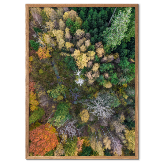 plakat med abstrakt kunstfoto af et skovlandskab
