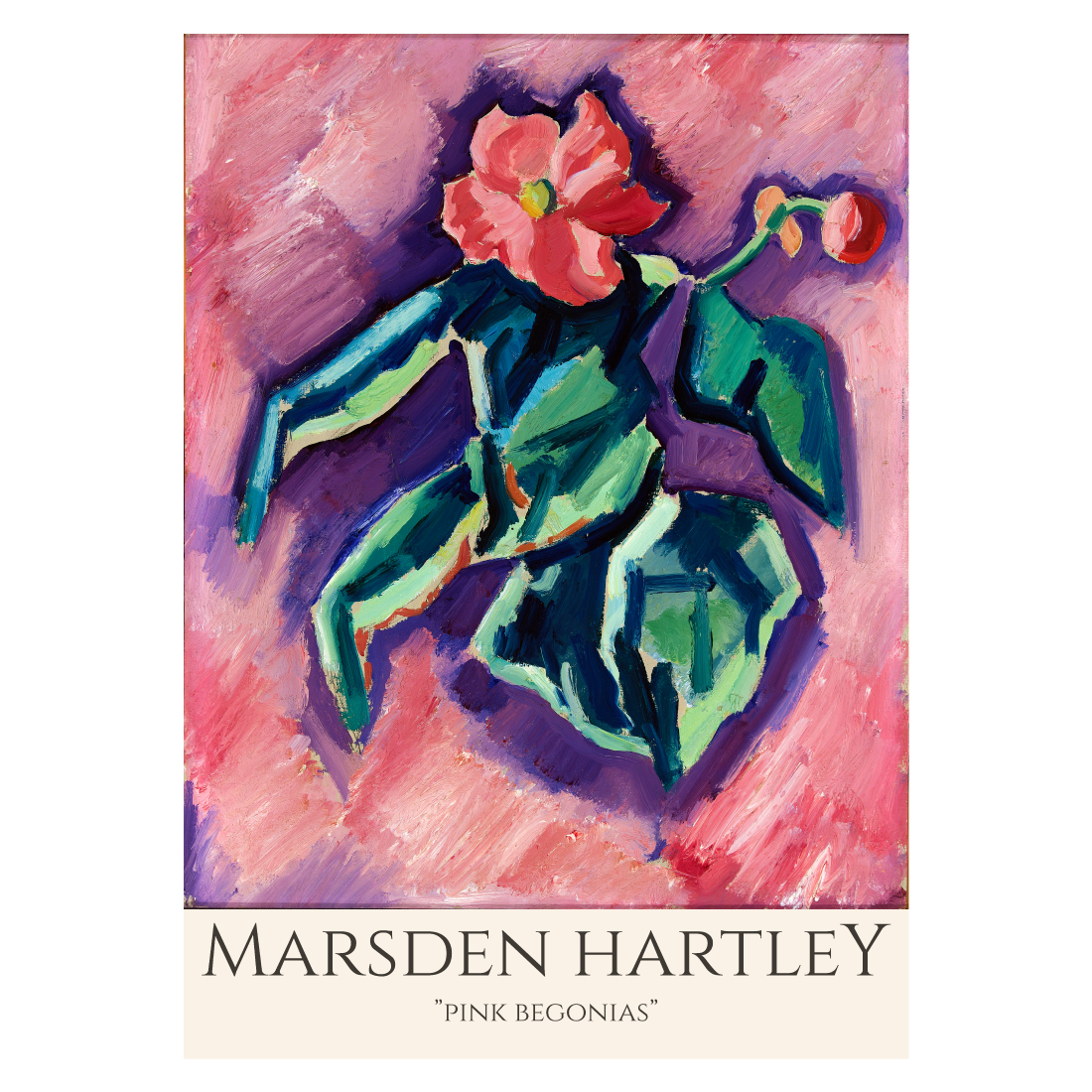 Kunstplakat med Marsden Hartley "Pink Begonias"