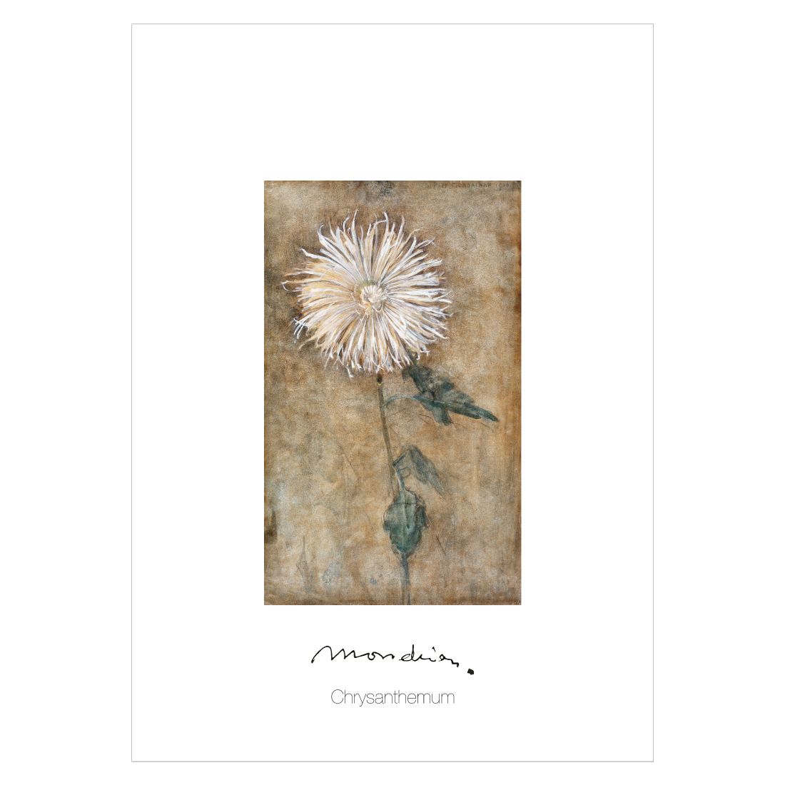 Kunstplakat med Piet Mondrians "Chrysantemum"