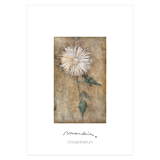 Kunstplakat med Piet Mondrians "Chrysantemum"