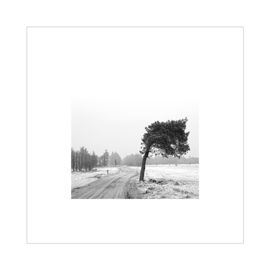 Sort-hvid fotokunst hvor ensomheden lyser langt væk