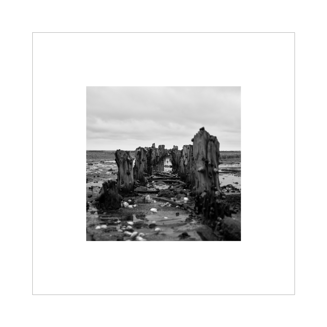 Kvadratisk billede med sort-hvid fotokunst fra bunden af vadehavet