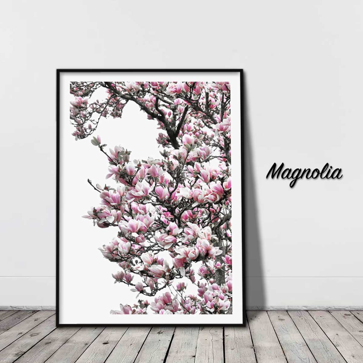 Magnolia