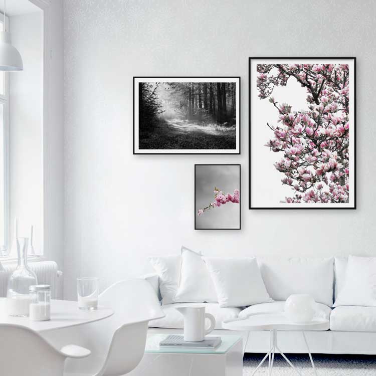 to blomsterplakater i lyserød og et sort-hvid skovbillede