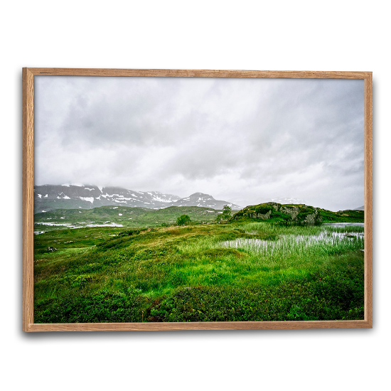 natur plakat med grønt motiv fra den norske Telemark