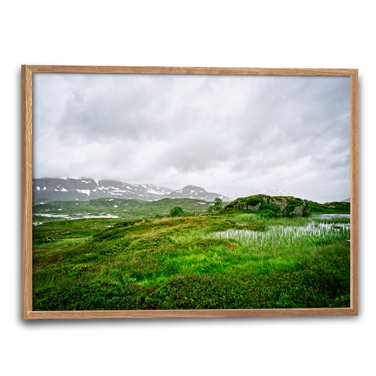 natur plakat med grønt motiv fra den norske Telemark