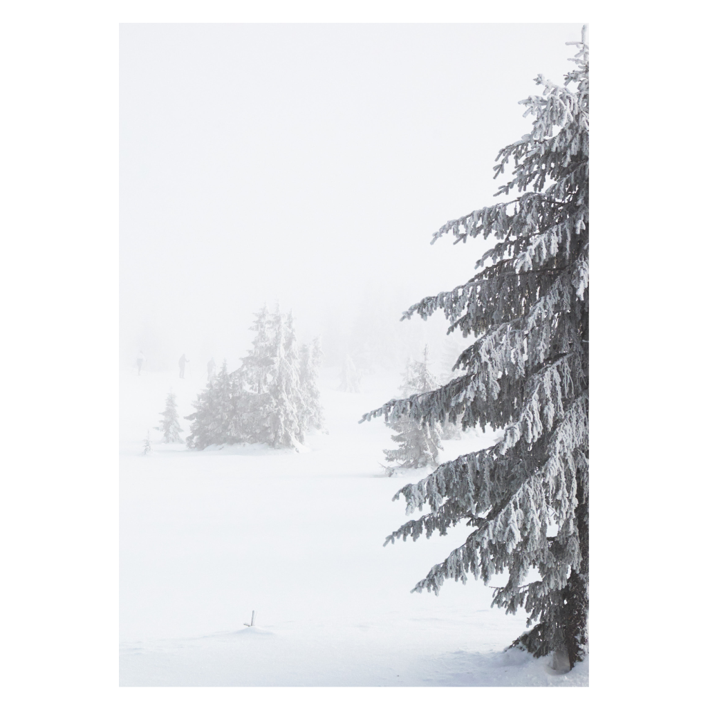 natur plakat med et flot vinterlandskab