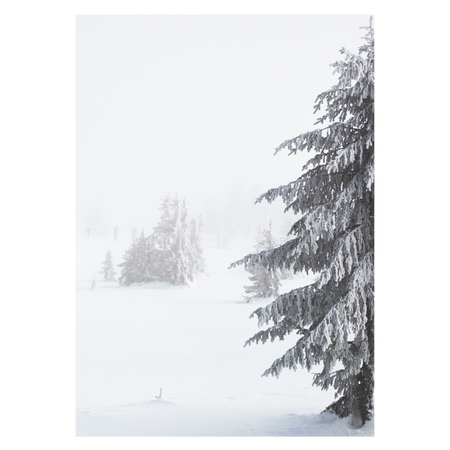 natur plakat med et flot vinterlandskab