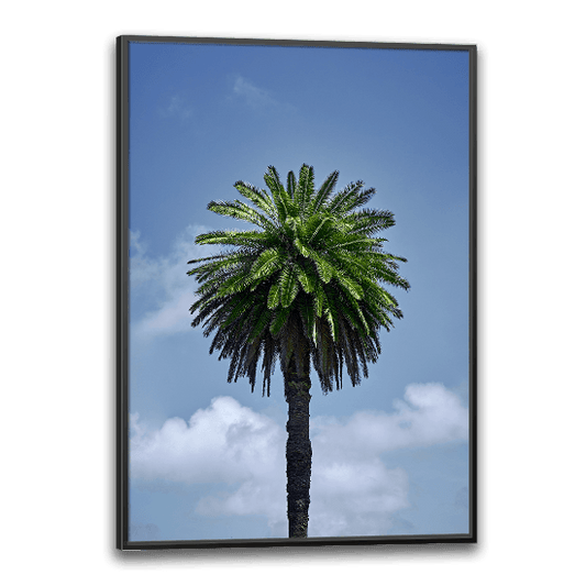 palme plakat med en enkelt palme mod en blå himmel