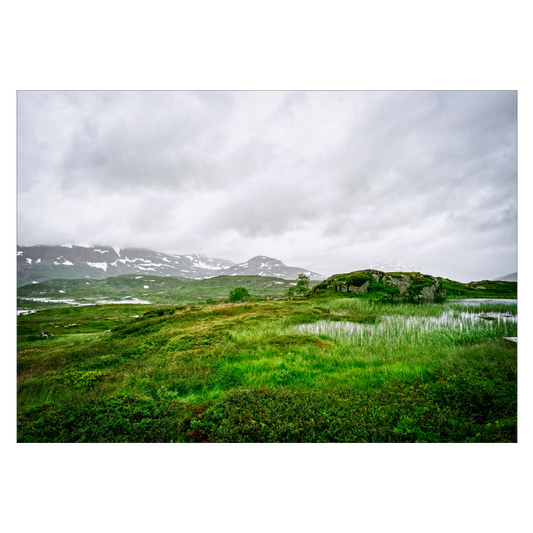 naturplakat med norsk telemark landskab i groenne nuancer