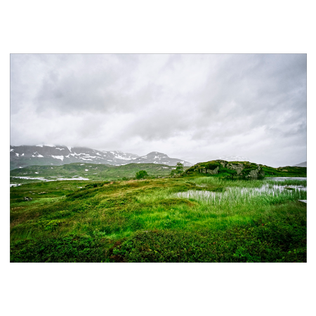 naturplakat med norsk telemark landskab i groenne nuancer