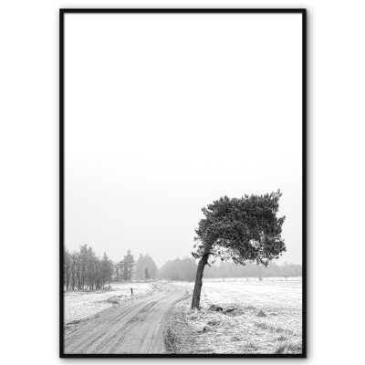 sort-hvid danmark plakat med et vindblæst fyrretræ