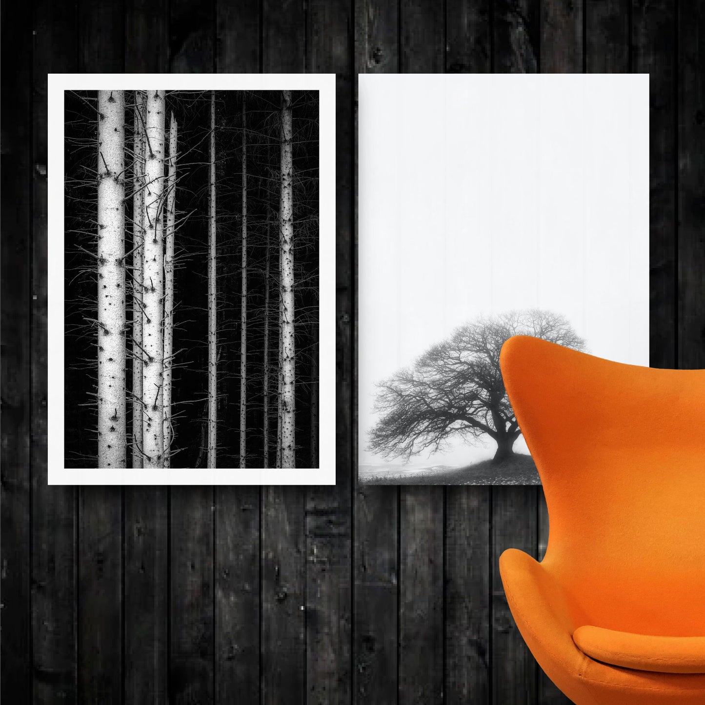 to sort-hvid natur plakater med stort egetræ og træstammer