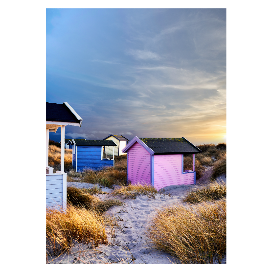 Farverig Sverige plakat med omklædningshusene på Falsterbo Strand