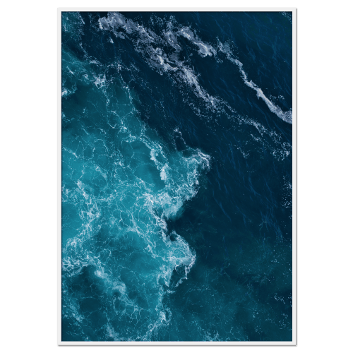 Tasmanian #2