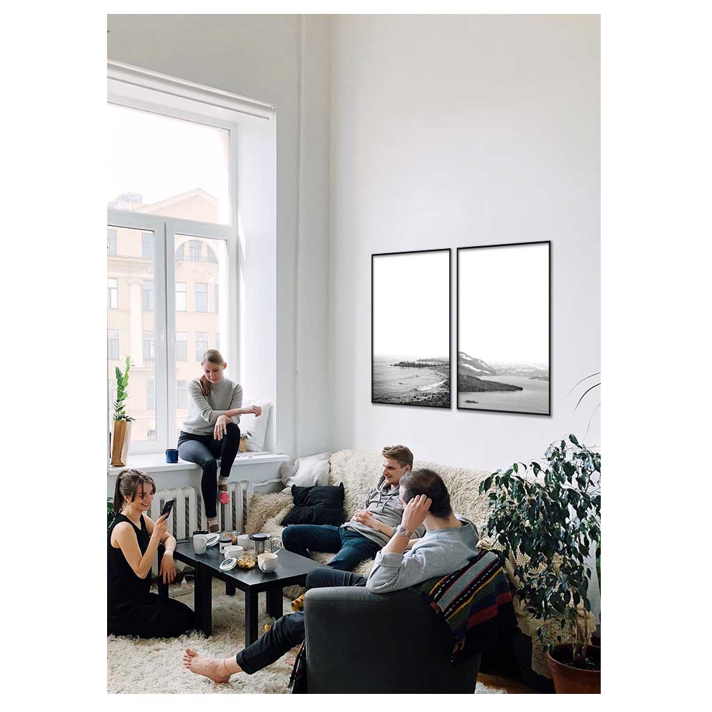 to sort-hvide natur plakater med kyst motiver