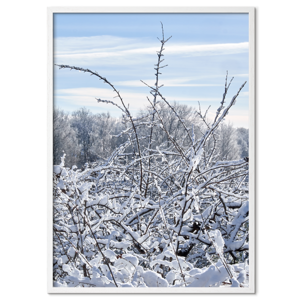 Vinterbillede af et snedækket landskab