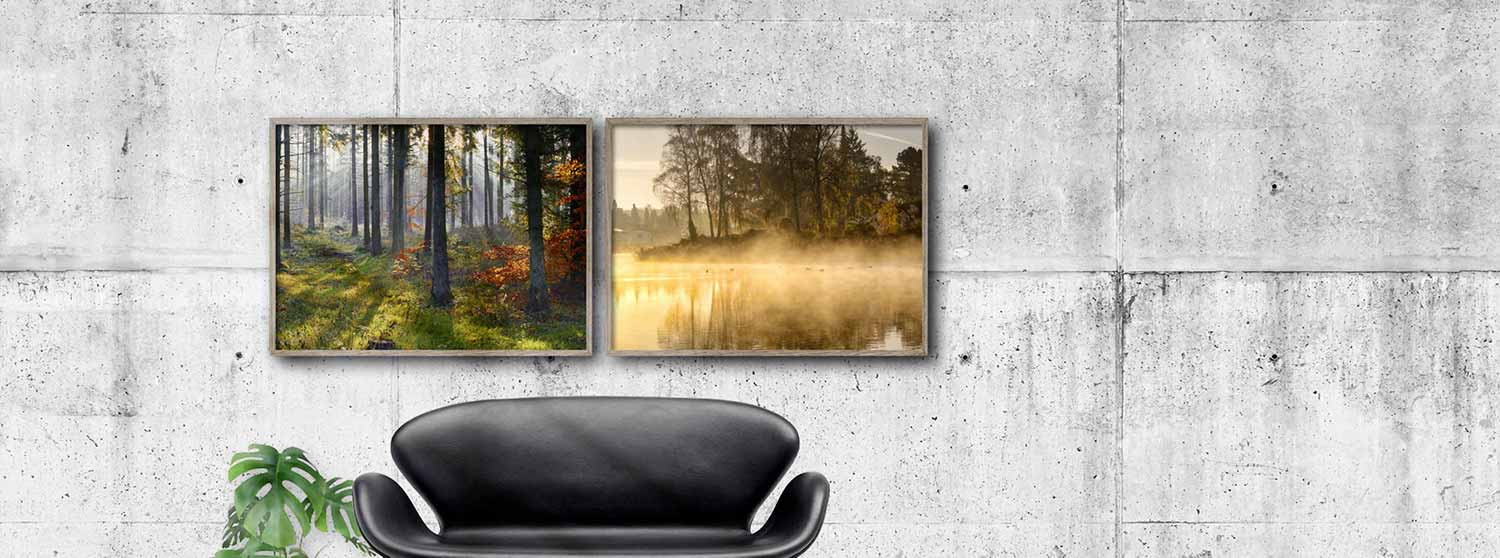to vandrette plakater med naturmotiver på en væg i stuen