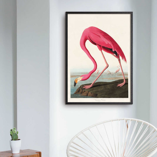 Art poster John James "Pink Flamingo"