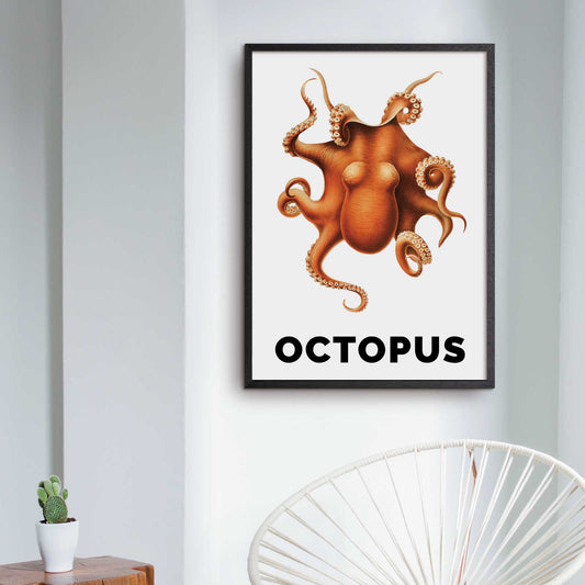 Plakat med en blæksprutte med teksten "Octopus"