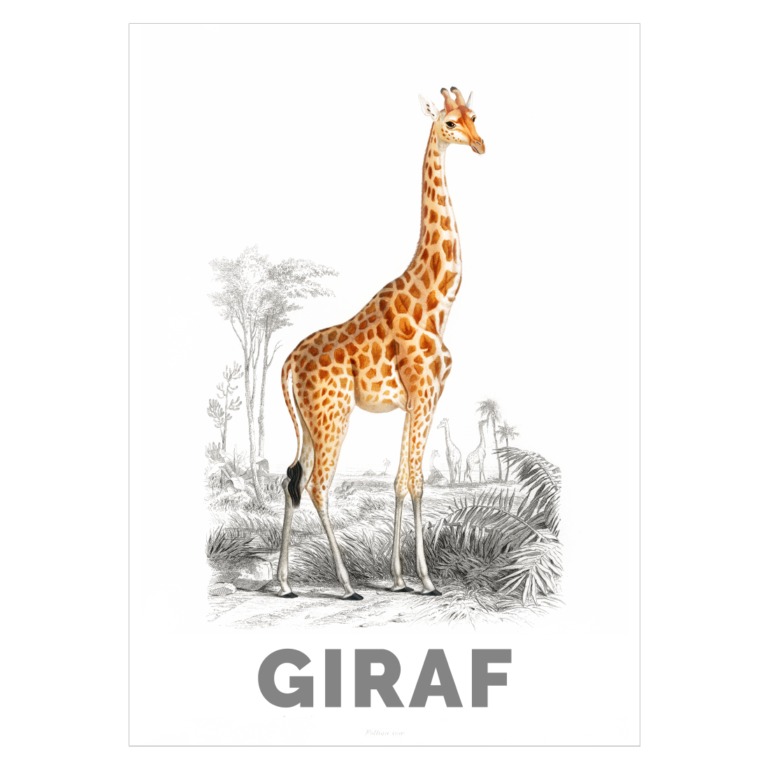 Grafisk plakat med en tegnet giraf og teksten "GIRAF"