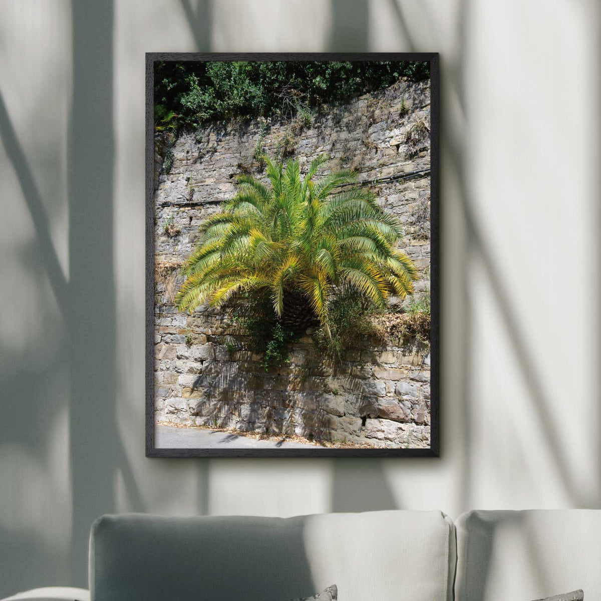 Italiensk poster med en palme der vokser ud af en stenmur