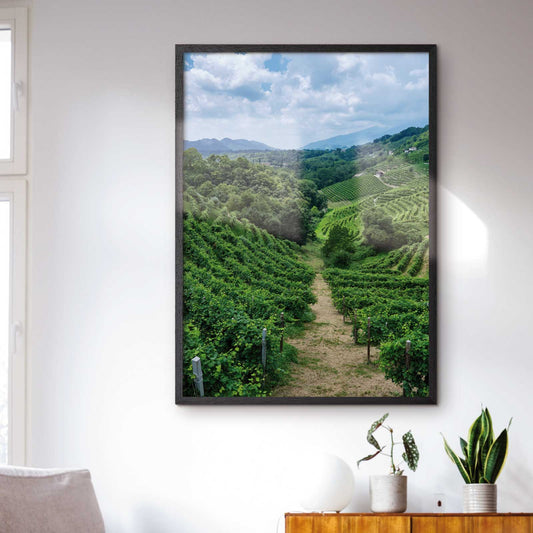 Italiensk naturposter med bakkerne ved Prosecco Road