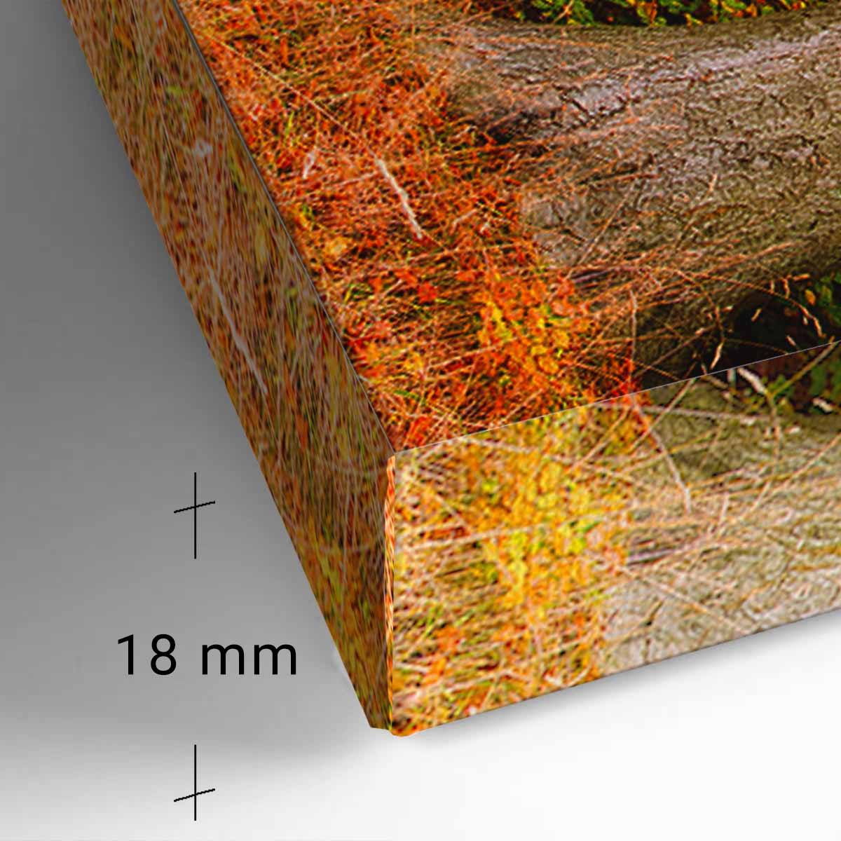 Lærredsbillede detalje med en naturplakat med skovmotiv