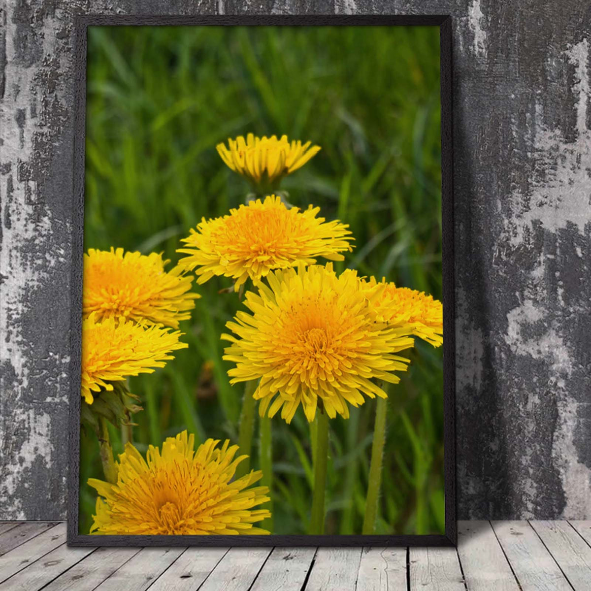 Nature poster with yellow dandelions