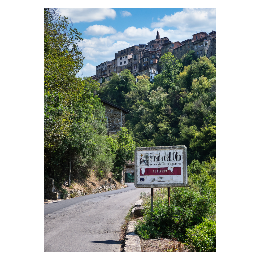 Italiensk plakat med Olivenruten - Strada dell'Olio