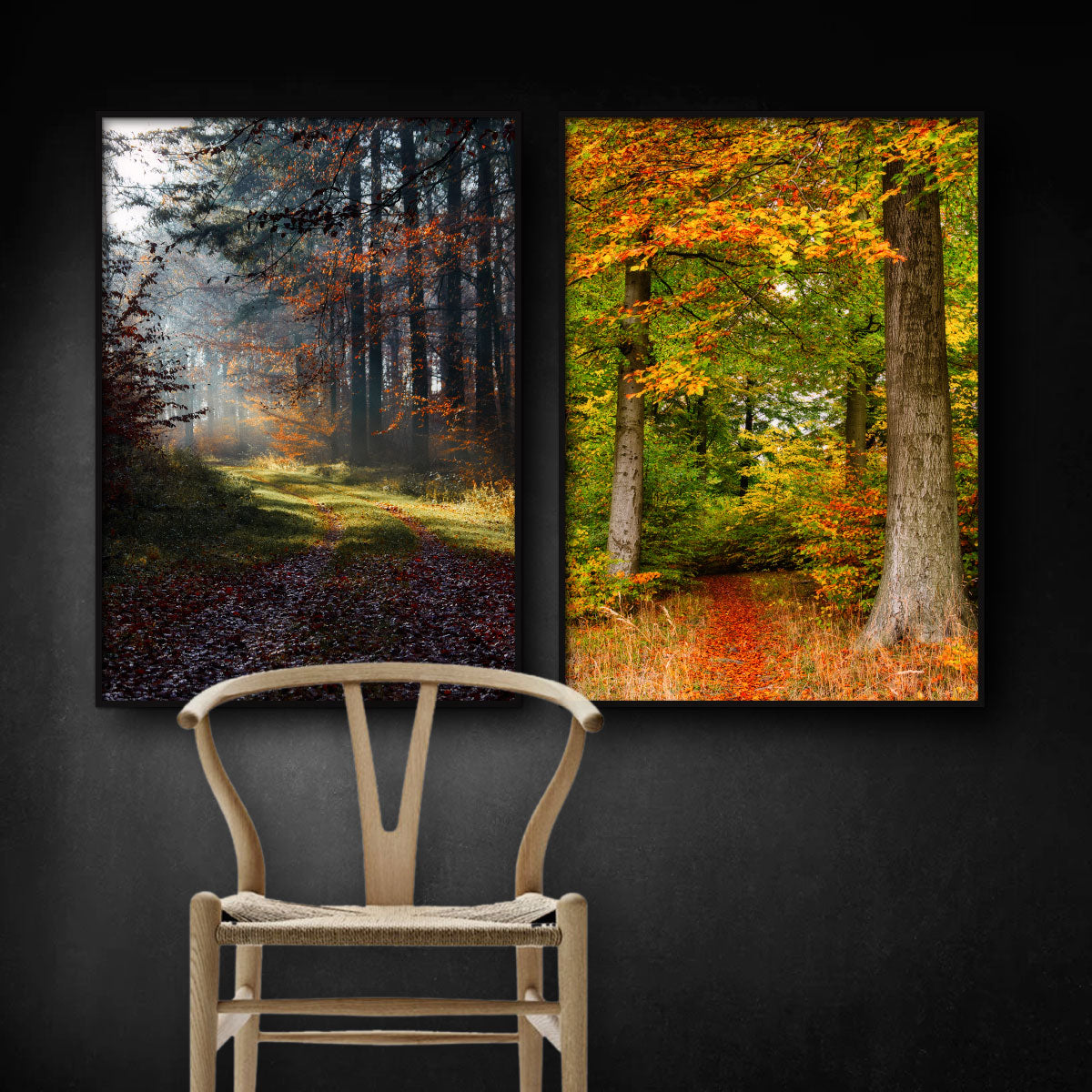 To billeder med efterårs skovmotiver der hænger på en sort væg