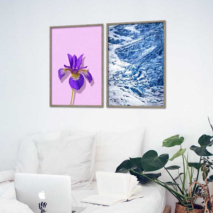 2 fotokunst plakater med lilla iris og blå gletscher is