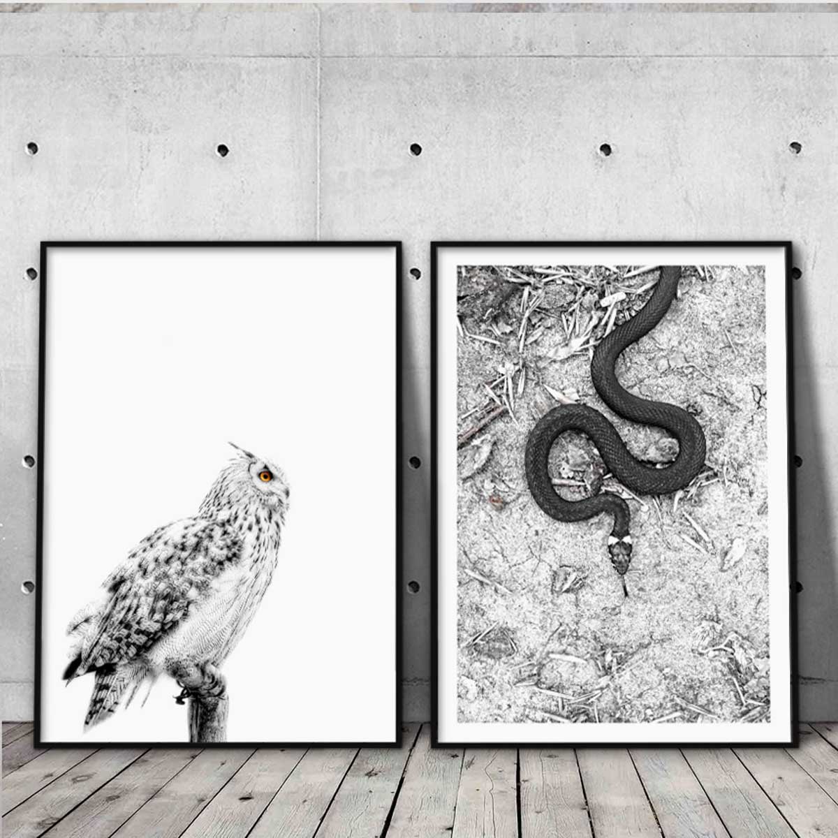 2 sort-hvid plakater med slange og ugle står op af væg