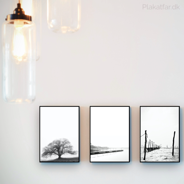 3 sort-hvide plakater med danske naturmotiver stort egetræ