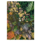 plakat med abstrakt loftfoto af en skov i efteråret